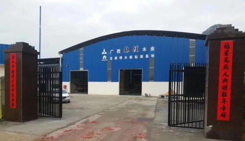 林槿板材總經理馬中江 彎道超速 與廣西一同按下快進鍵