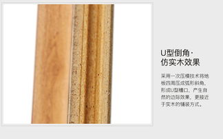 春天強(qiáng)化復(fù)合地板 防水耐磨仿古地暖環(huán)保家用臥室優(yōu)選